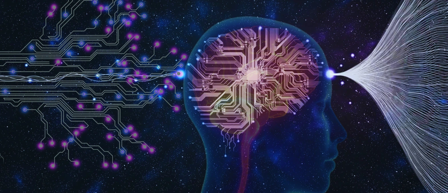 Low-Code vs. RPA: Which One is Right for Your Business?
