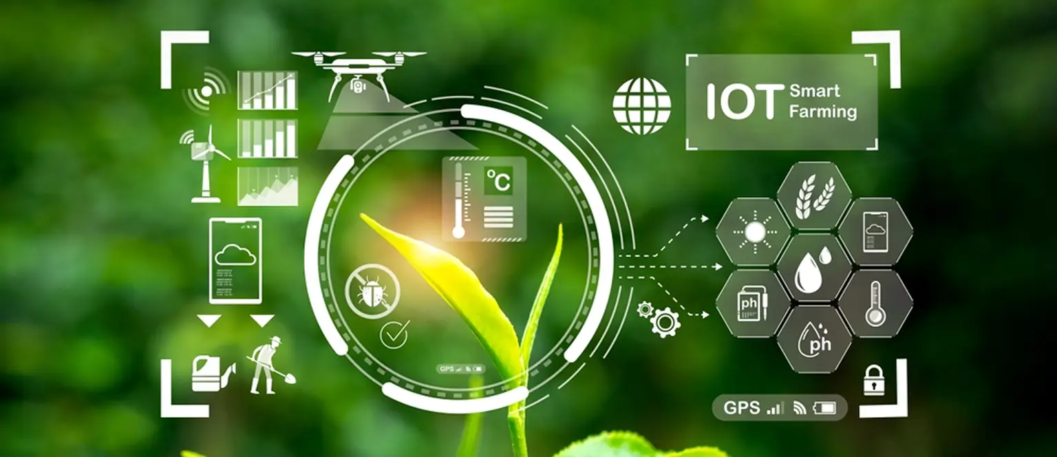 IoT-Based Automated Irrigation System Development for Agriculture