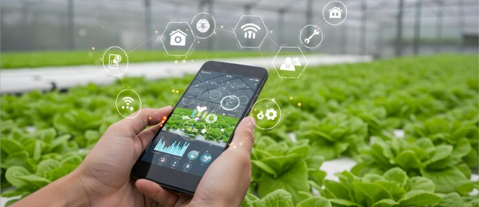 IoT-enabled Horticulture Automation System