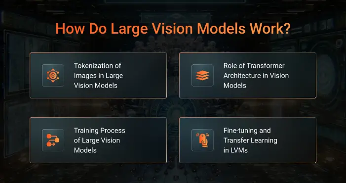 How Do Large Vision Models Work