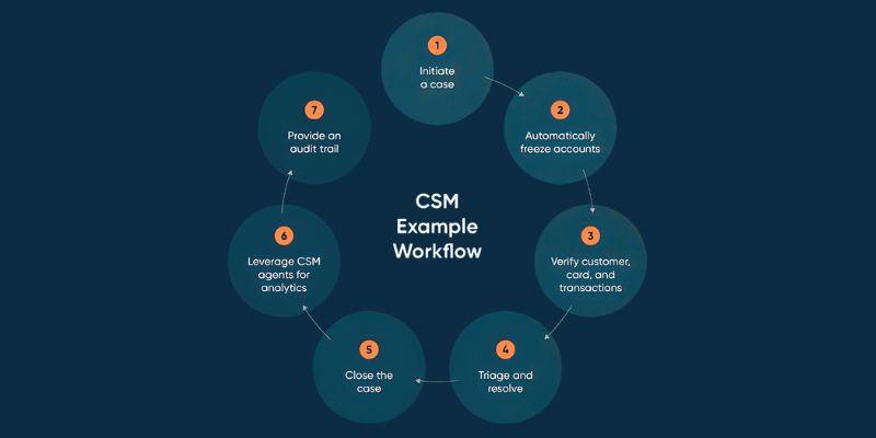 CSM Workflow CSM Workflow