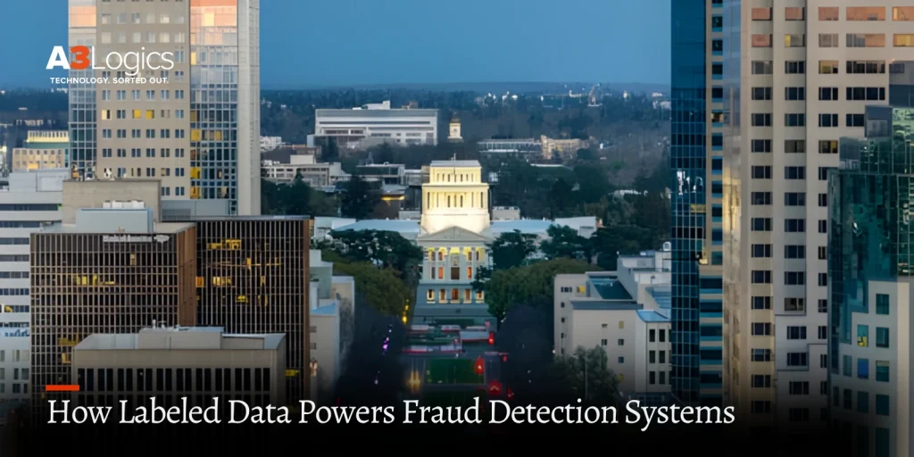 How Labeled Data Powers Fraud Detection Systems Image