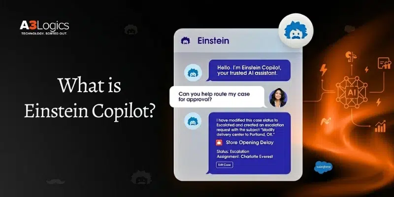 Einstein Copilot Image