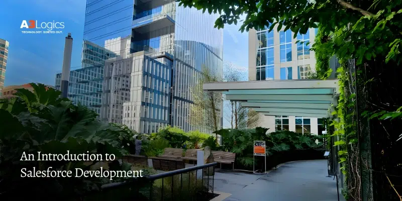 Salesforce Development Image